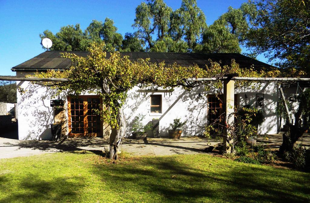 Witkrans Guest Farm Hotell Middelburg  Exteriör bild
